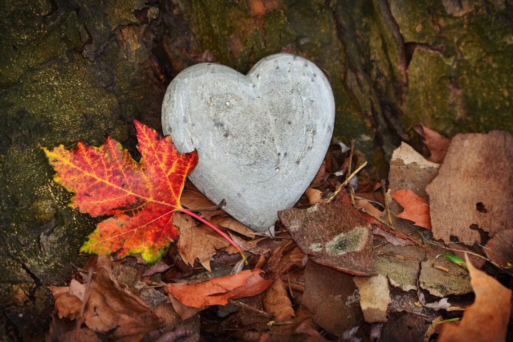 Srdce v podzimním listí